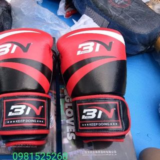 Găng boxing 3N