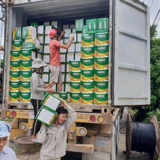 Keo Xây dựng đa năng Winbond