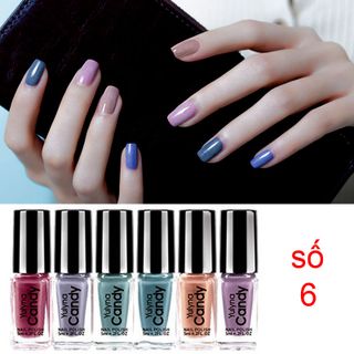 Set 6 sơn móng gam màu châu âu 2019giá siêu rẻ -100