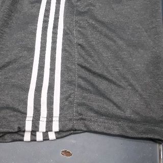 quần thể thao nam