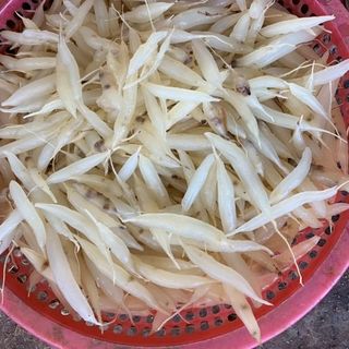 Giống cây dược tư vấn thu mua sản xuất