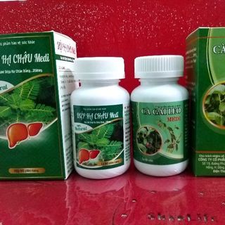 Giống cây dược tư vấn thu mua sản xuất