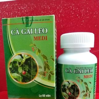 Giống cây dược tư vấn thu mua sản xuất