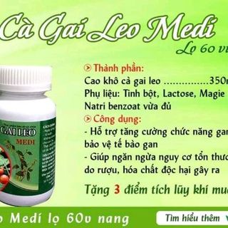 Cà gai leo Medi