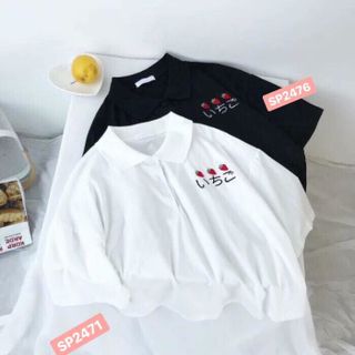 Áo thun cổ thêu dâu giá sỉ