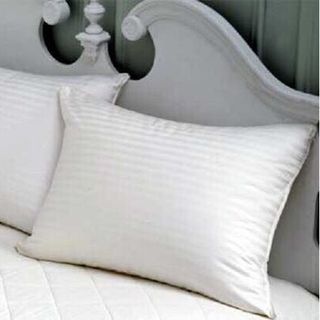 SỈ RUỘT GỐI LÔNG VŨ NHÂN TẠO