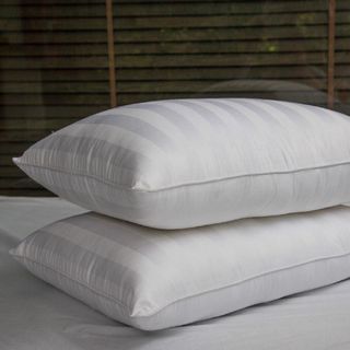 SỈ RUỘT GỐI LÔNG VŨ NHÂN TẠO