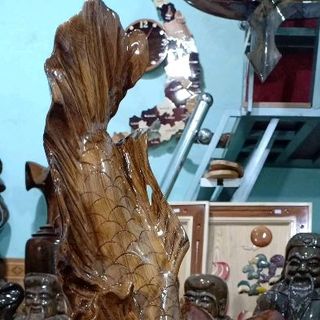 Cá kiếm long cá rồng