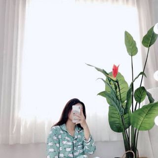 Sét bộ katte tay dài quần dài full viền