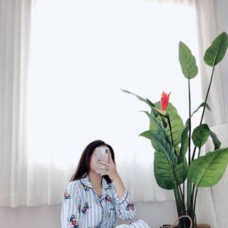Sét bộ katte tay dài quần dài full viền