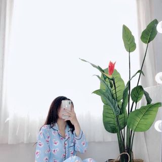 Sét bộ katte tay dài quần dài full viền