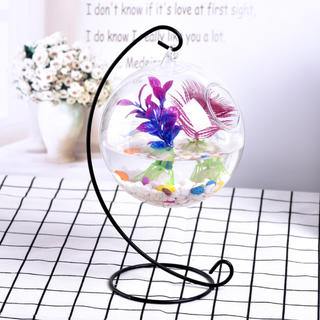 Bể cá mini treo chữ C
