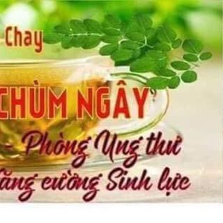 Trà chùm ngây