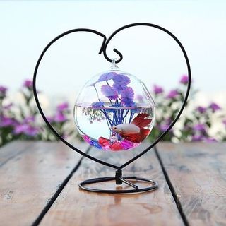 Bể cá mini treo trái tim