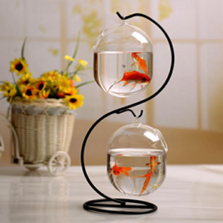 Bể cá mini treo chữ S Dưa