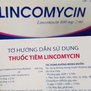 Lincomycin - Kháng sinh gà đá cựa giá sỉ