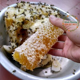 Mật ong hoa nhãn đặc sản Hưng Yên - hàng chuẩn