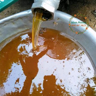 Mật ong hoa nhãn đặc sản Hưng Yên - hàng chuẩn