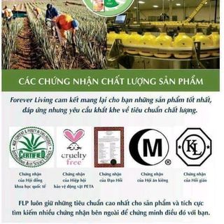 kem chống nắng