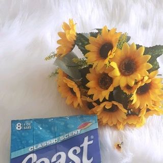 Xà phòng tắm Coast cục