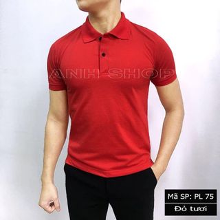 Áo thun nam chất cá sấu - loại đẹp