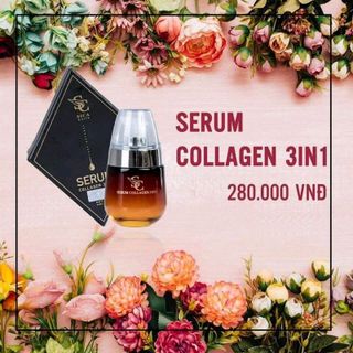 serum college 3 in 1