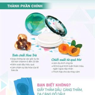 Phấn phủ kiềm dầu trong suốt Cathy Doll Oil Control Film Pact 12g Translucent