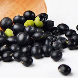 Đậu đen xanh lòng nhà trồng