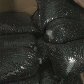 Đậu đen xanh lòng nhà trồng