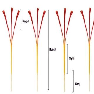 SAFFRON- nhụy hoa nghệ Tây Kashmir Ấn Độ