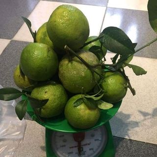 chanh đào mật ong lẻ 1kg6 220k sỉ 5 hủ 820k