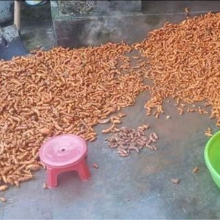 Tinh bột nghệ