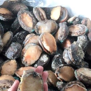 Bào Ngư hàn quốc