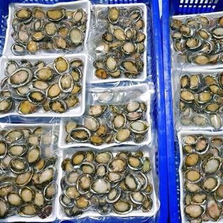 Bào Ngư hàn quốc