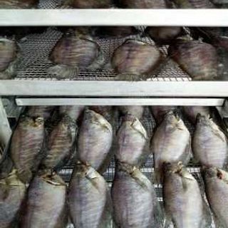 Khô Cá Sặc Giá Sỉ