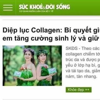 TẢO DIỆP LỤC COLLAGEN là sản phẩm 100 TỪ THÀNH PHẦN TỰ NHIÊN