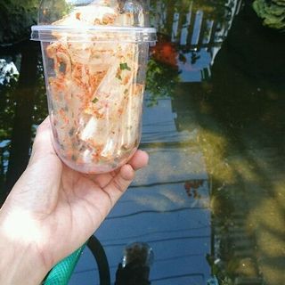 Bánh tráng cuộn cay