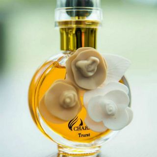 Nước hoa Nữ CHARME TRUST 35ML giá sỉ