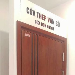 Cửa thép vân gỗ DH Group 164