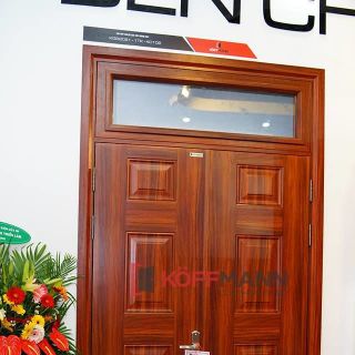 Cửa thép vân gỗ DH Group 164