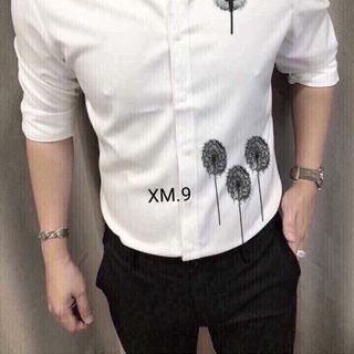 Ao mi nam