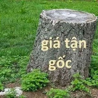 ôm lô lộn xộn quần áo nữ
