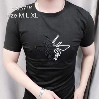 Ao thu nam