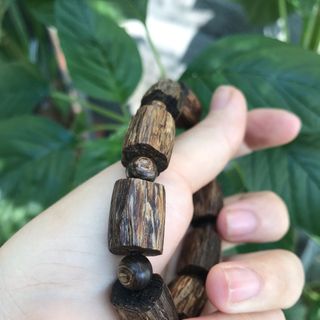 Đốt trúc sánh chìm 10li