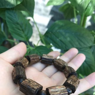 Đốt trúc sánh chìm 10li