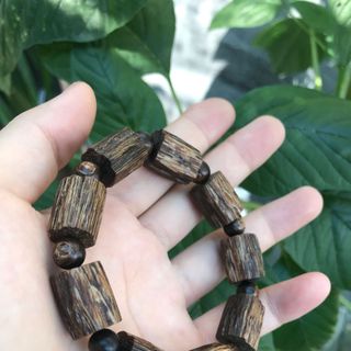 Đốt trúc sánh chìm 10li