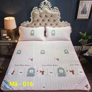 Chiếu điều hòa Tencel 2019 - 2M2