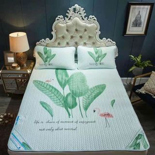 Chiếu điều hòa Tencel 2019 - 2M2