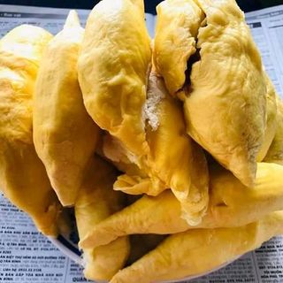 SẦU RIÊNG 6 RI
