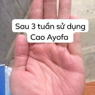CAO THẢO MỘC ĐA NĂNG